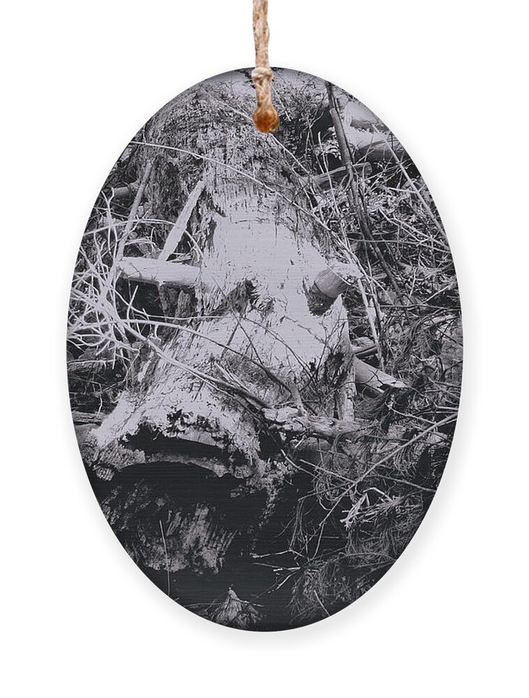 Tree Ornament featuring the photograph Fallen Tree by Christopher Reed