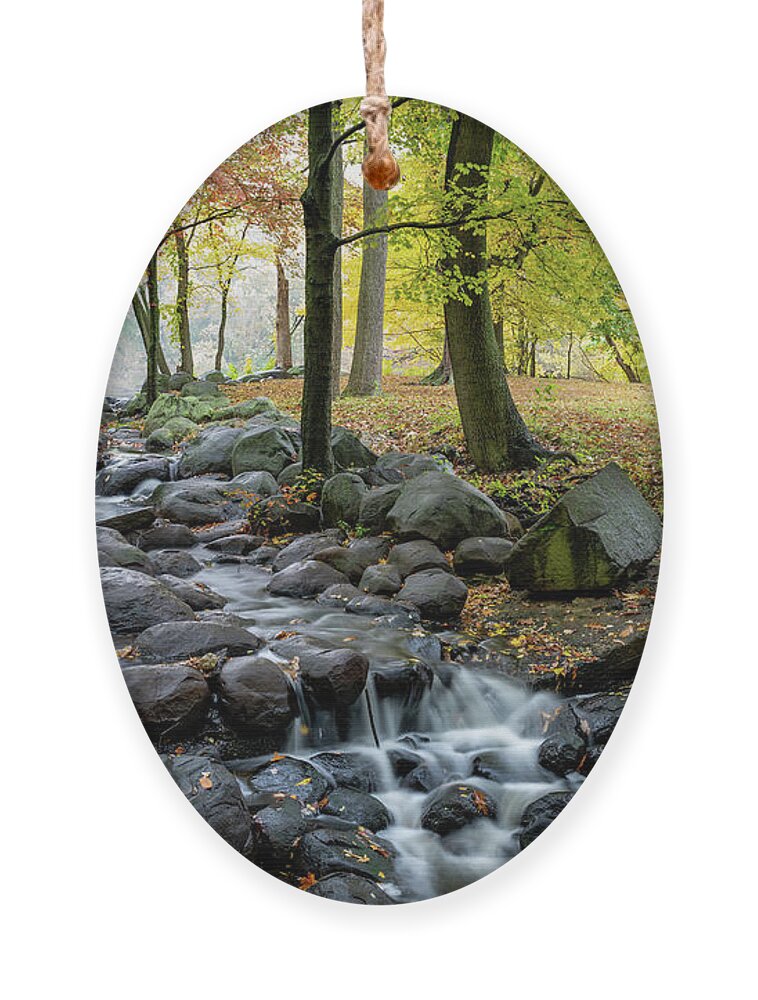 Autumn Ornament featuring the photograph Falling Waters 2 by Kevin Suttlehan