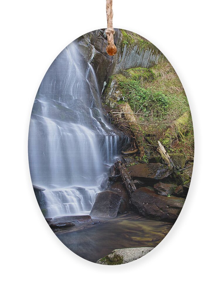 Adventure Ornament featuring the photograph Falls Branch Falls 12 by Phil Perkins