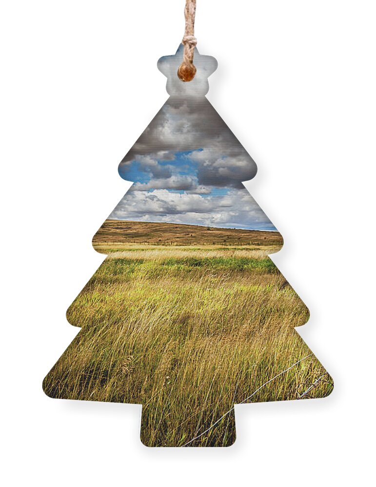 Fencing On The Palouse Ornament featuring the photograph Fenceline on the Palouse by David Patterson