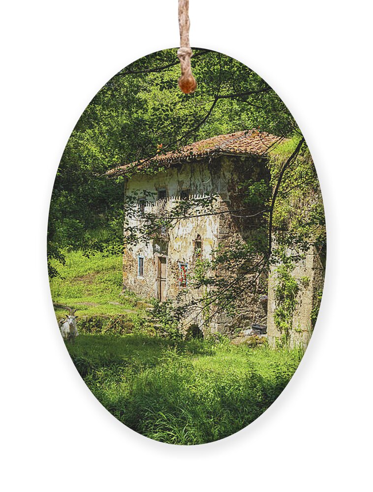 Old House Ornament featuring the photograph Ferriera de Olazarra - Artzubi forest by Micah Offman