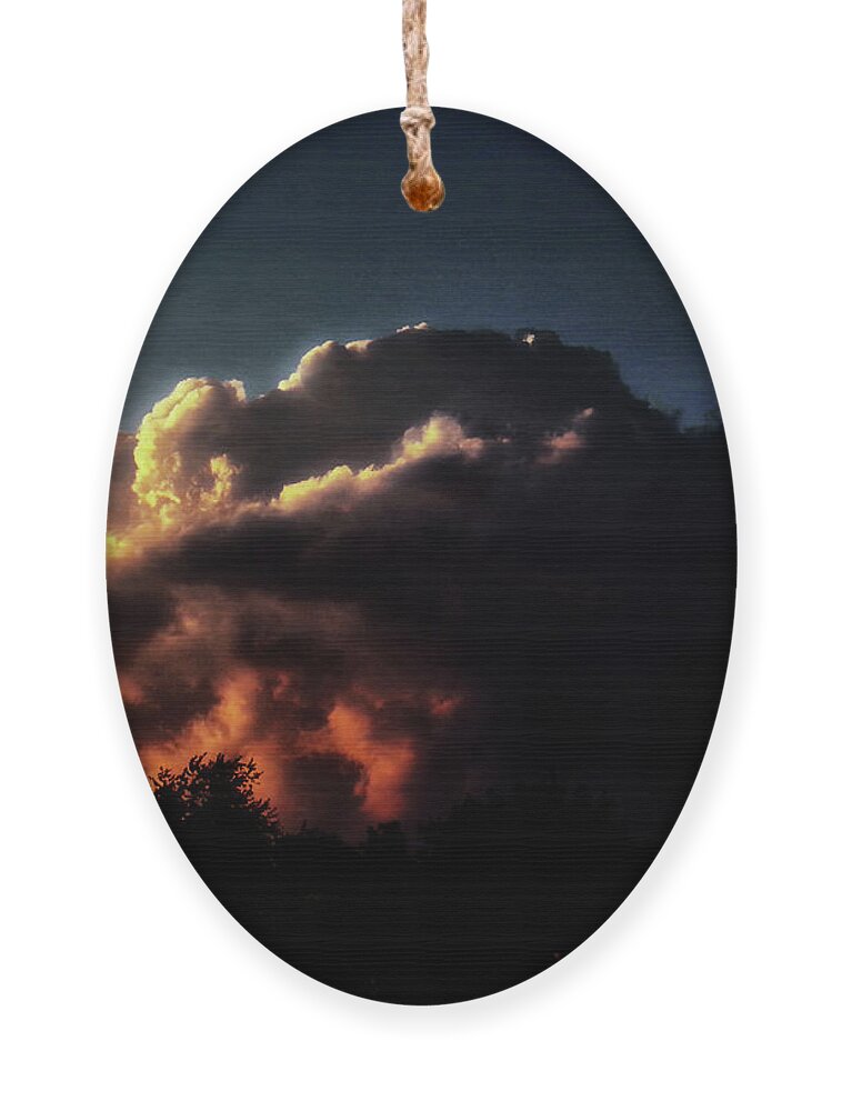 Sunset Ornament featuring the photograph Fire in the Sky by Christopher Reed
