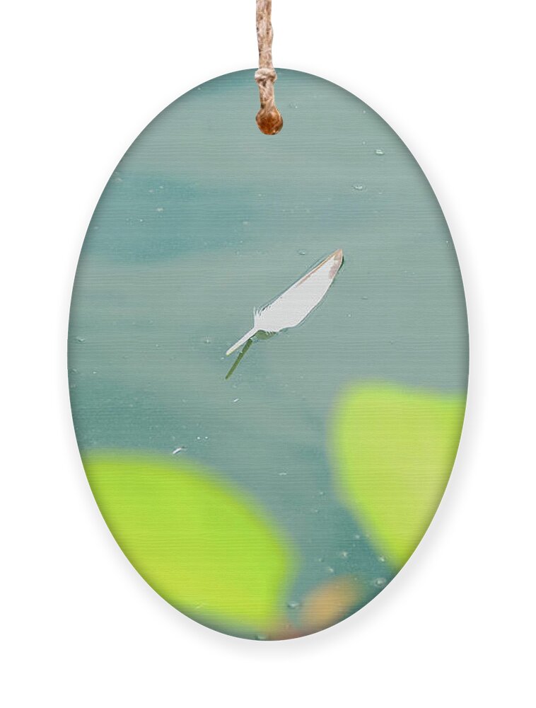 Feather Ornament featuring the photograph Floating feather by Bentley Davis