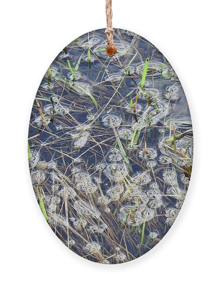 Grasses And Weeds Submerged Ornament featuring the photograph Flood puddles by Nicola Finch