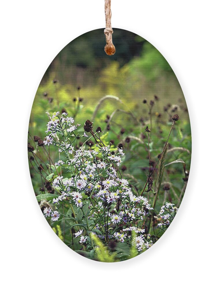 Flowers Ornament featuring the photograph Flowers at the End of Summer by Christopher Reed