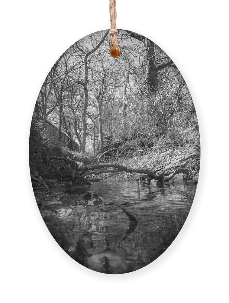 Creek Ornament featuring the photograph Flowing Creek by W Craig Photography