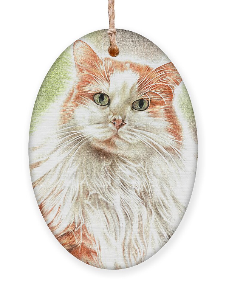 Cat Ornament featuring the drawing Fluffy Cat by Casey 'Remrov' Vormer