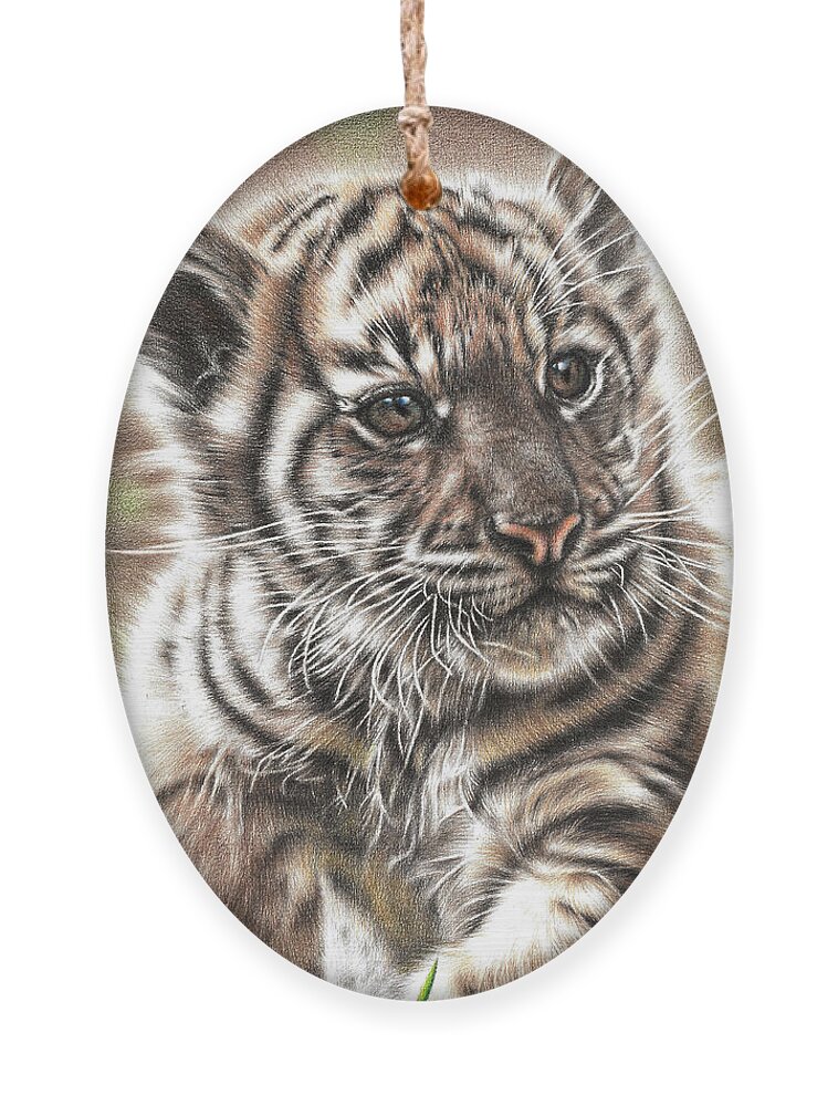 Tiger Ornament featuring the drawing Fluffy Tiger Cub by Casey 'Remrov' Vormer