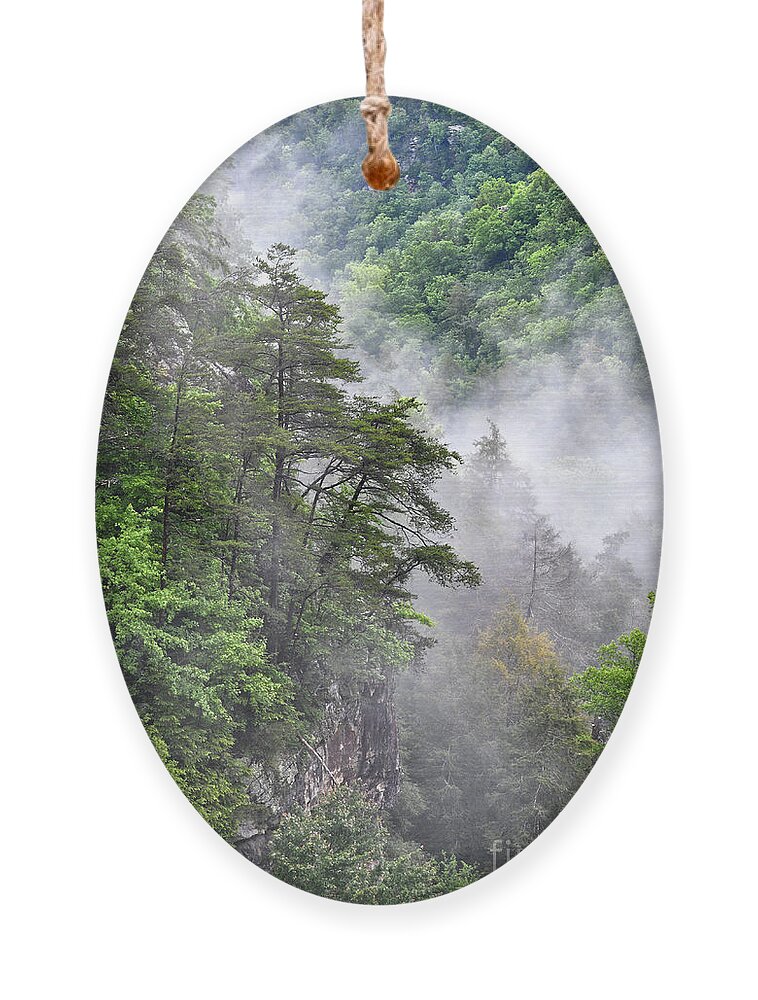 Fall Creek Falls Ornament featuring the photograph Fog In Valley 2 by Phil Perkins