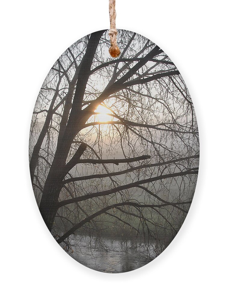 Creek Ornament featuring the photograph Fog Over Coal Creek by Vallee Johnson