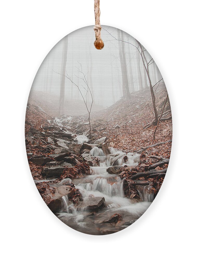 Foggy Ornament featuring the photograph Foggy morning in a deciduous forest by Vaclav Sonnek