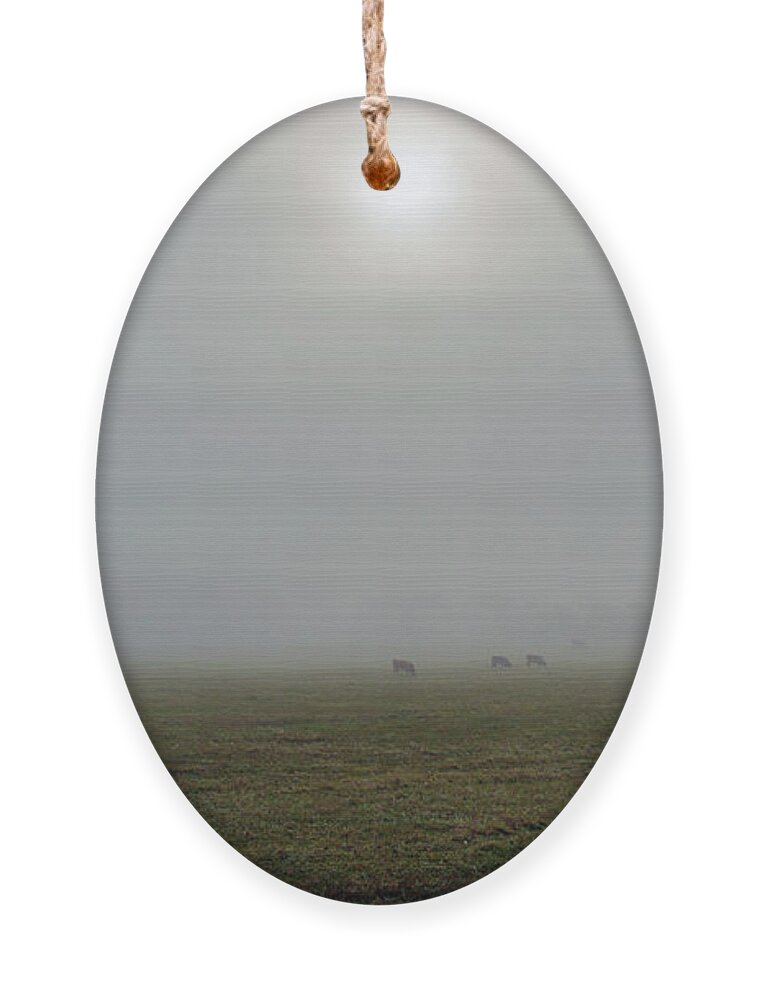 Texas Ornament featuring the photograph Hill Country Fog - Gillespie County, TX by Joe Houde