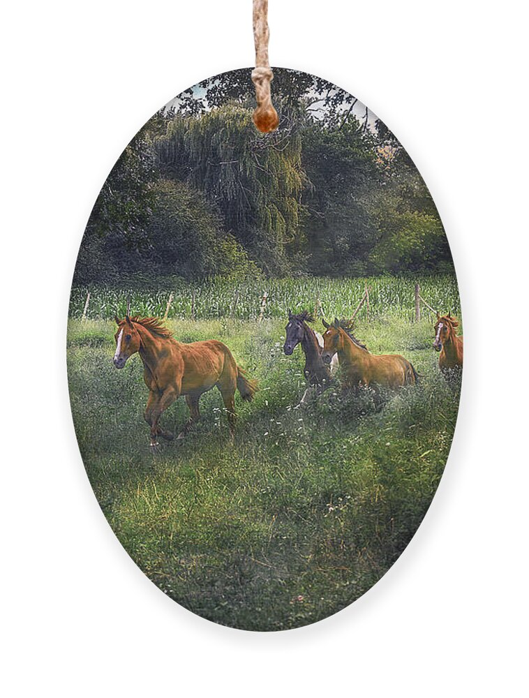 Horse Ornament featuring the photograph For Horses by Sandra Rust