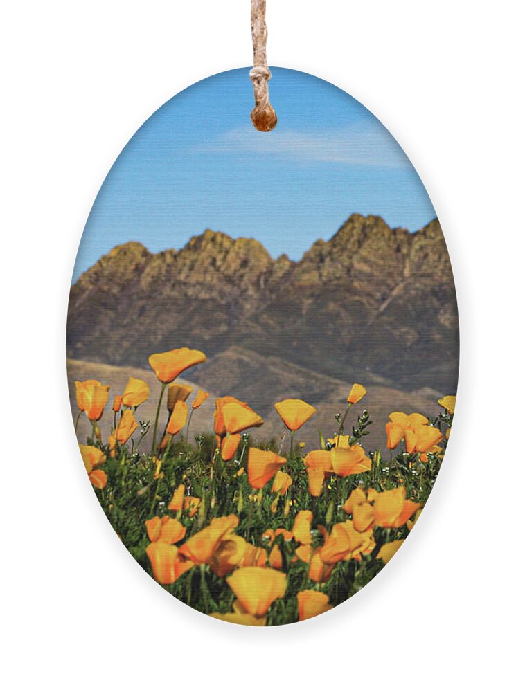 Four Peaks Ornament featuring the photograph Four Peaks in Spring by Bonny Puckett