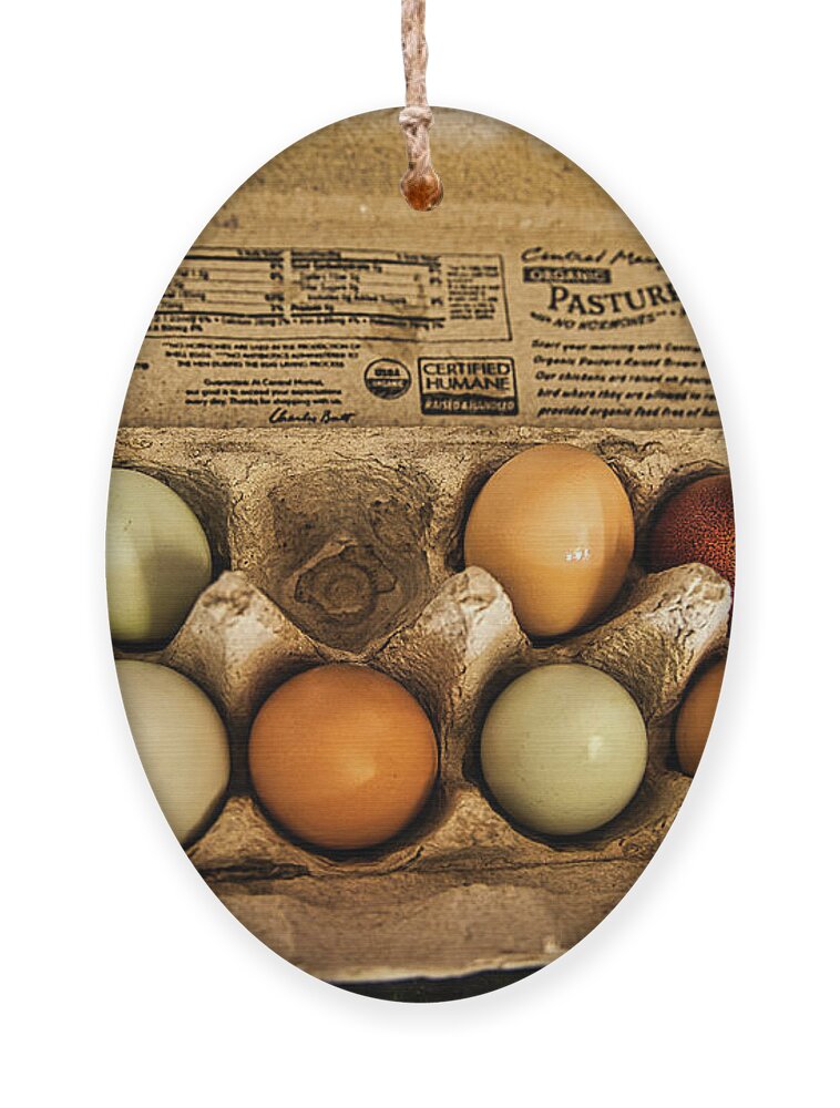 Eggs Ornament featuring the photograph Free-Range Eggs by Rene Vasquez