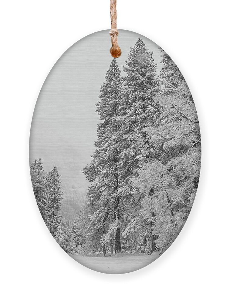 Landscape Ornament featuring the photograph Frigid by Jonathan Nguyen