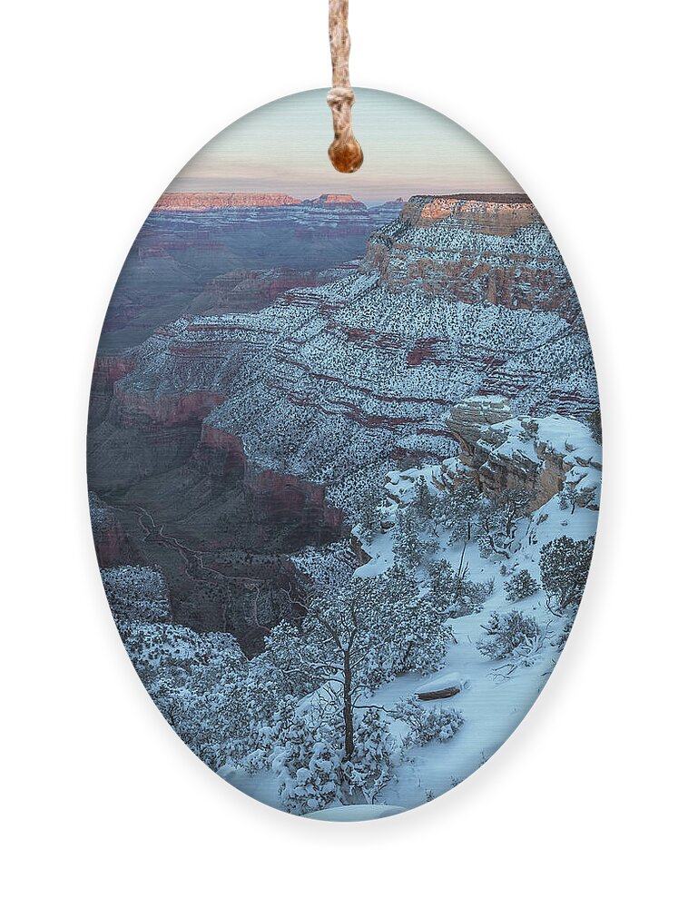 Landscape Ornament featuring the photograph Frozen Canyon by Jonathan Nguyen