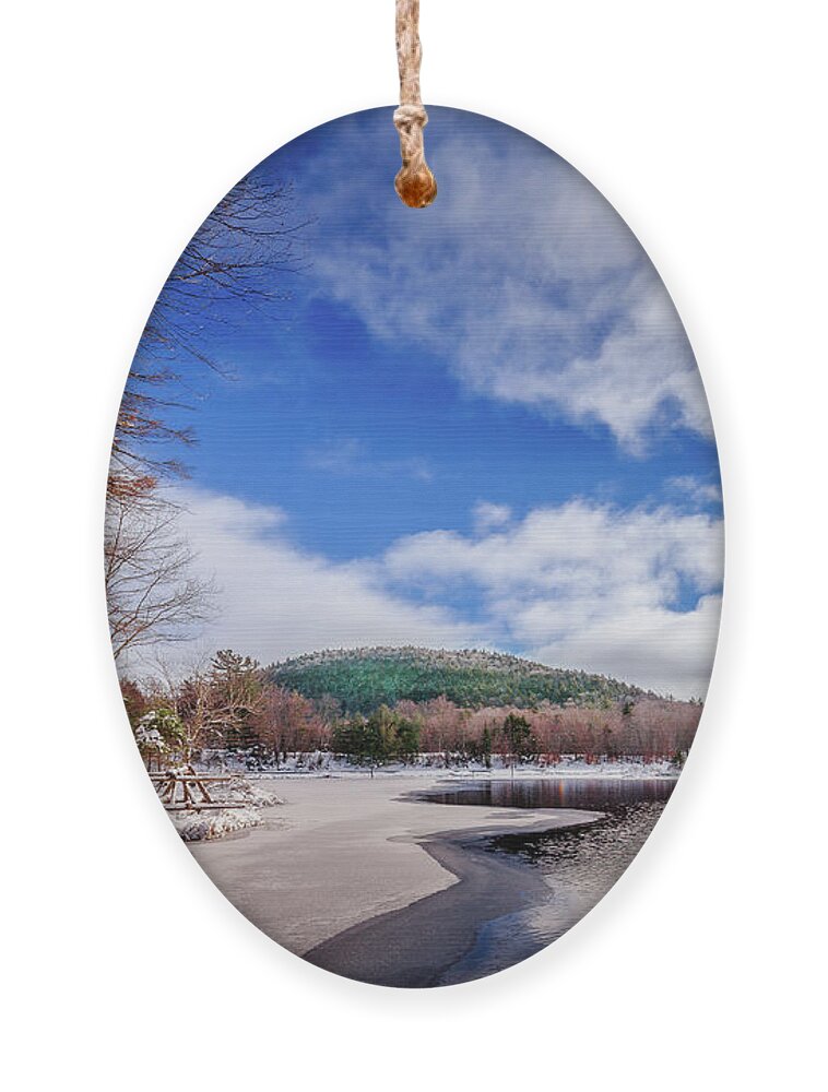 Frozen Shoreline Ornament featuring the photograph Frozen Shoreline by David Patterson