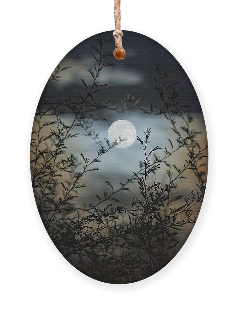 Arizona Ornament featuring the photograph Full Moon Through Mesquite Branches by Teresa Wilson