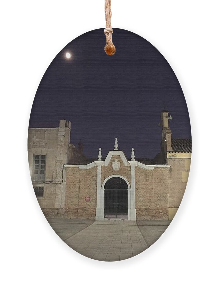 Colette Ornament featuring the photograph Fullmoon evening by Colette V Hera Guggenheim