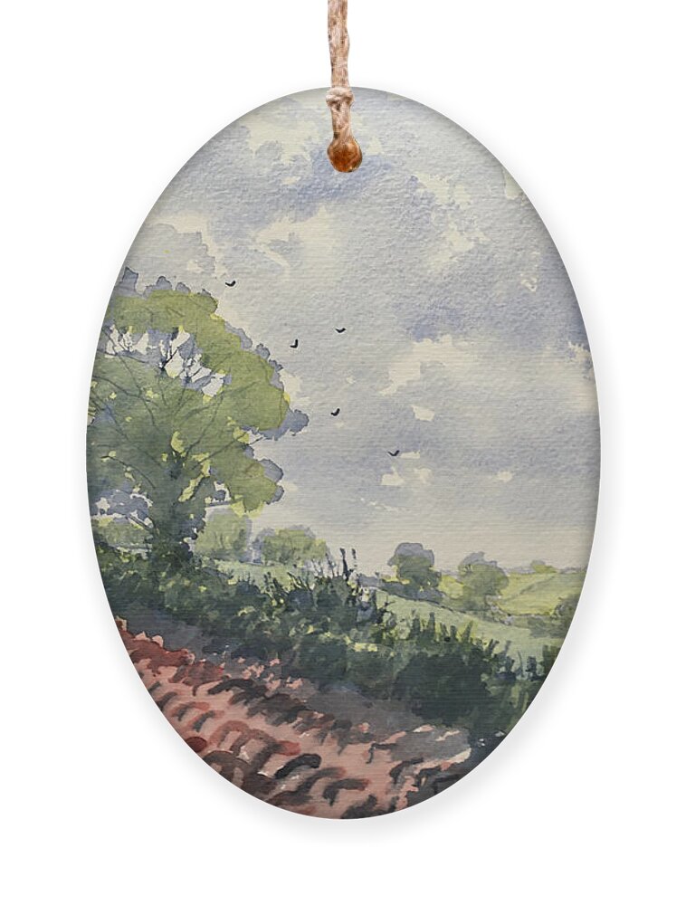 Watercolour Ornament featuring the painting Furrows on Wolds Way by Glenn Marshall