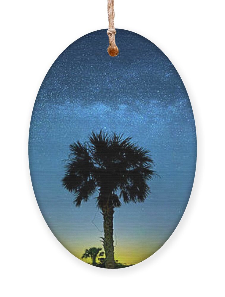 Milky Way Ornament featuring the photograph Galactic Ocean by Mark Andrew Thomas
