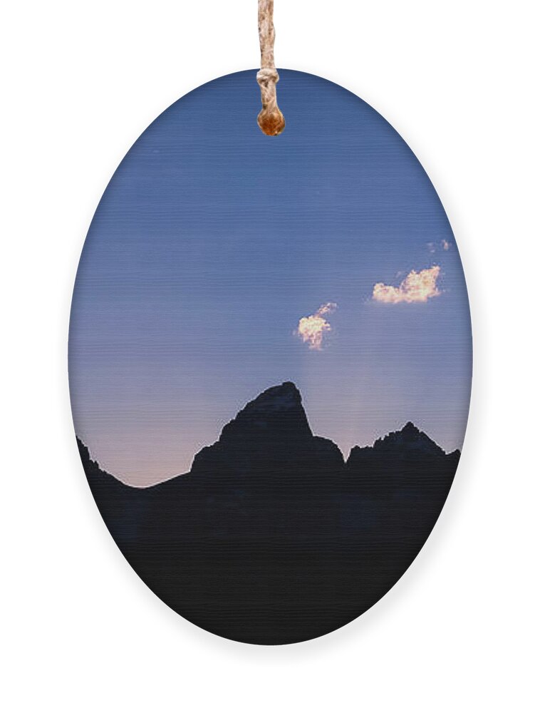 National Park Ornament featuring the photograph Gand Teton Skyline by Larey McDaniel