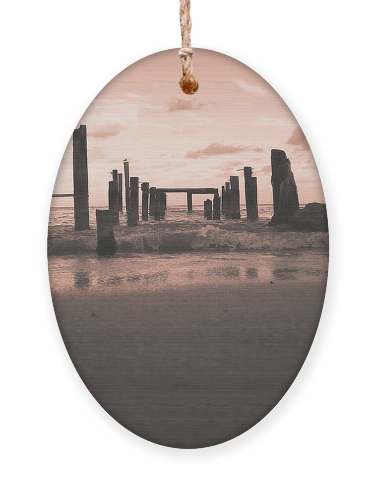 Sunset Art Ornament featuring the photograph Glo by Gian Smith