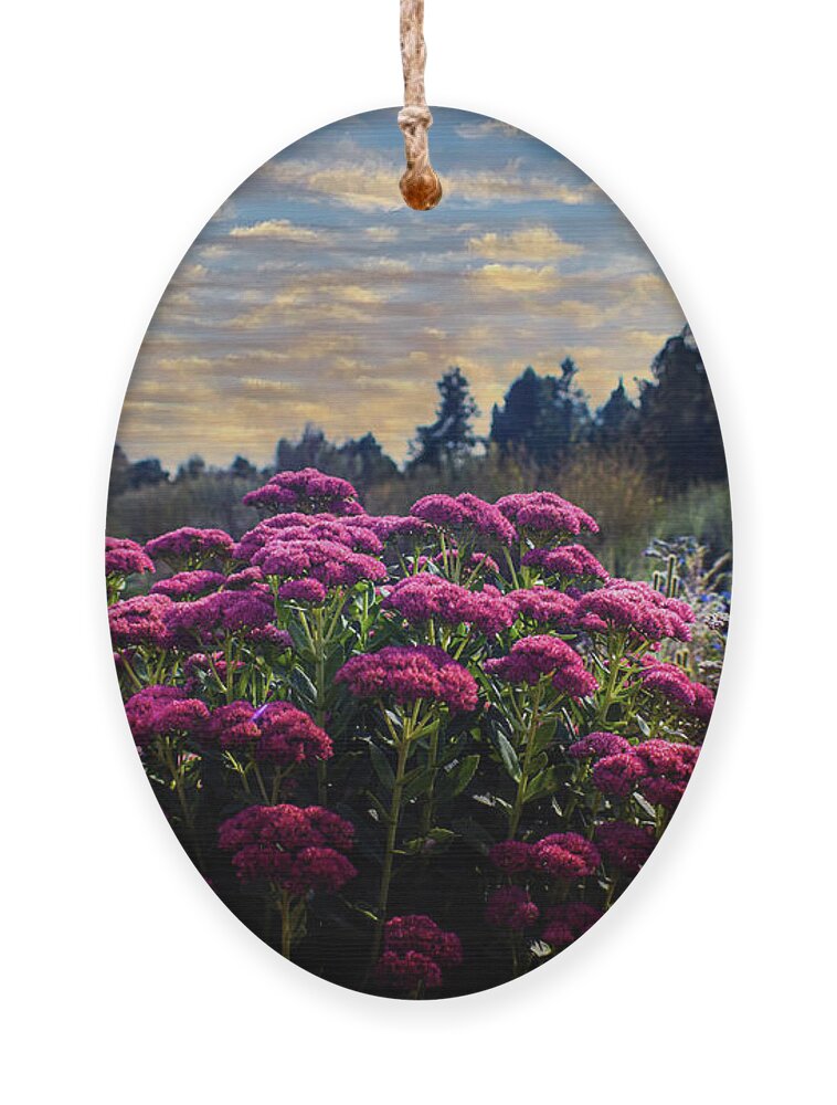 Summer Ornament featuring the photograph Glow of Summer by Laura Putman