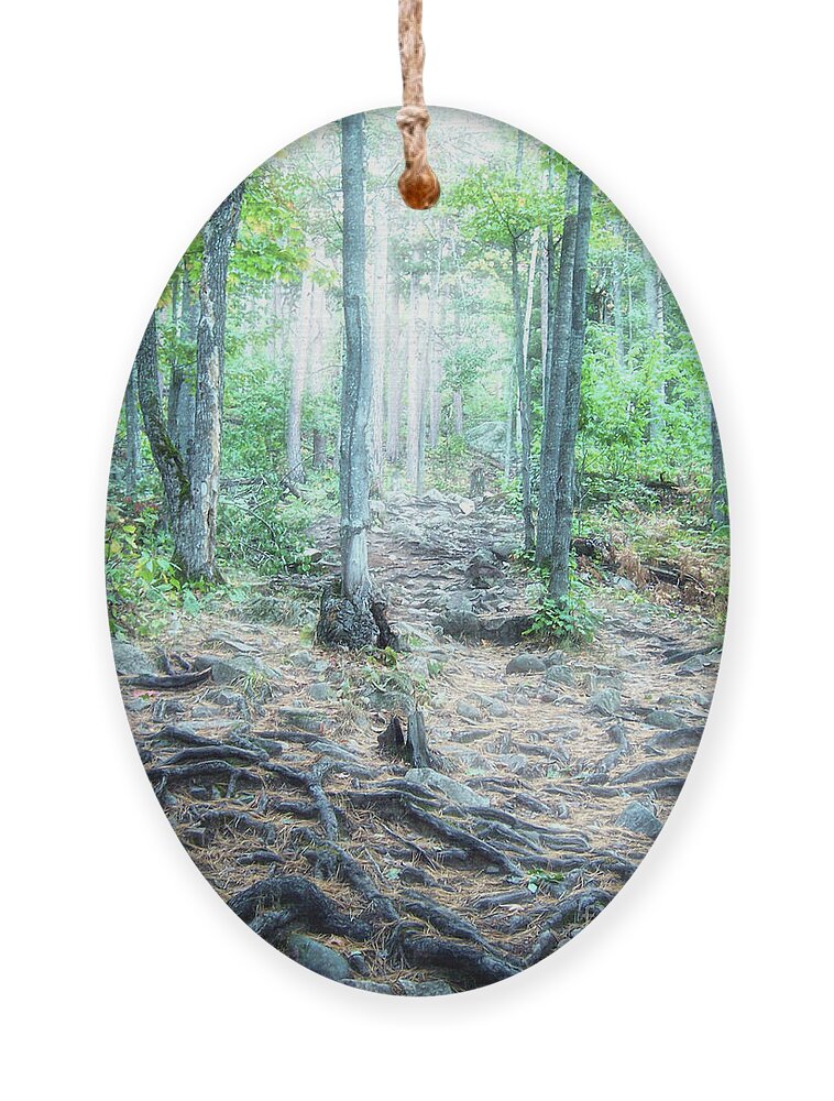Sugarloaf Mountain Ornament featuring the photograph Glowing Forest Trail by Phil Perkins