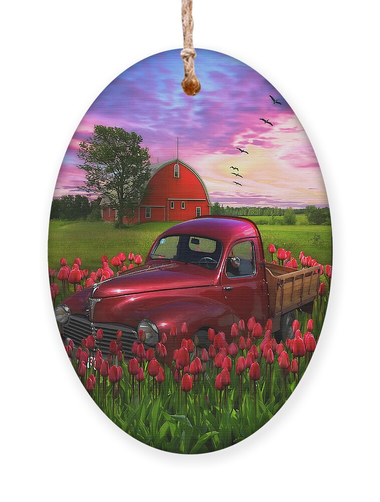 Trucks Ornament featuring the photograph Glowing Red Tulips Red Truck Red Barn by Debra and Dave Vanderlaan