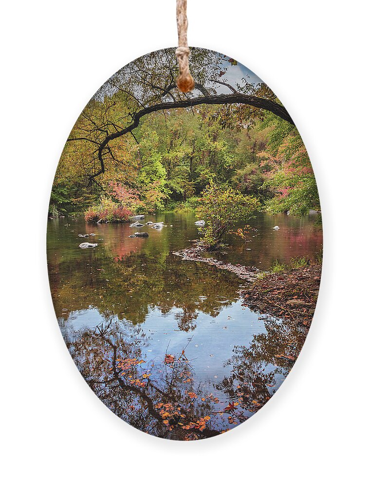 Carolina Ornament featuring the photograph Going Full Circle into Fall II by Debra and Dave Vanderlaan