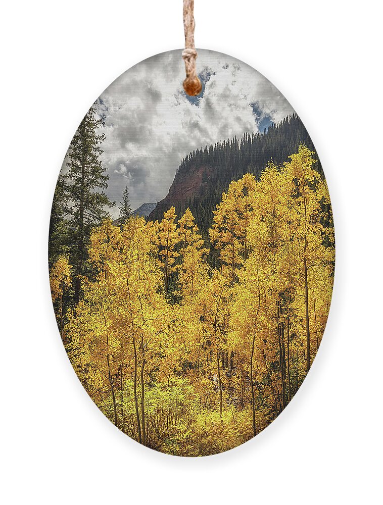 Fall Ornament featuring the photograph Golden Aspen on the trail to Ice Lake by Bradley Morris