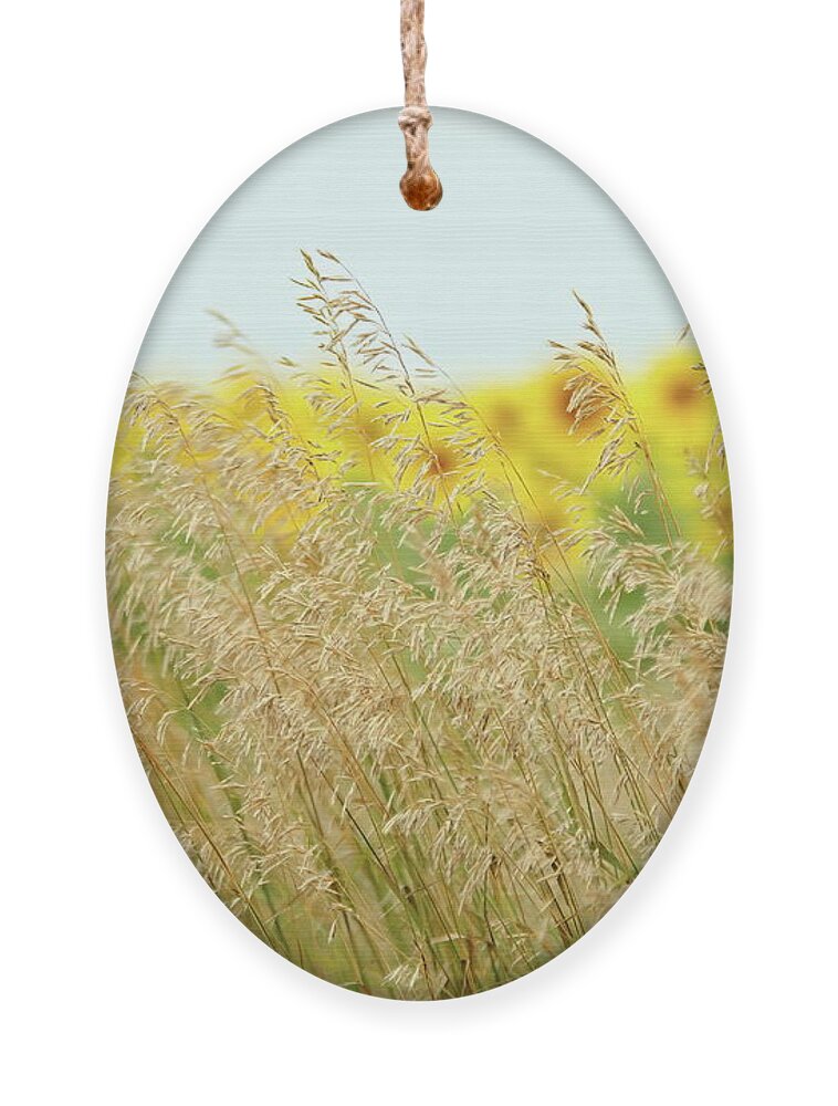 Sunflower Ornament featuring the photograph Golden Horizon by Lens Art Photography By Larry Trager