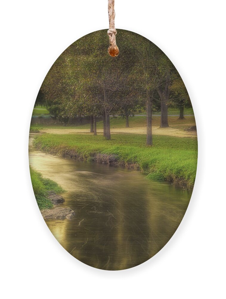 River Ornament featuring the photograph Golden River During the Golden Hour by Jason Fink