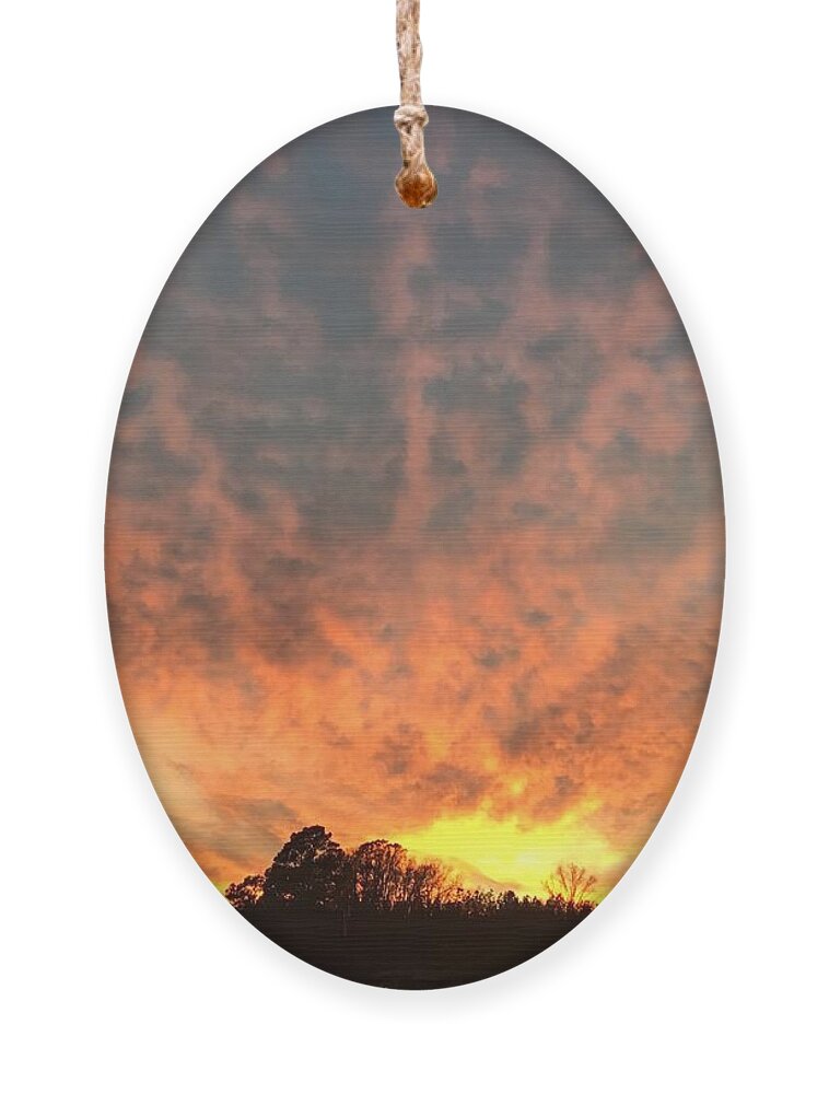 Sunset Ornament featuring the photograph Good Evening Sunset #1 by Catherine Wilson