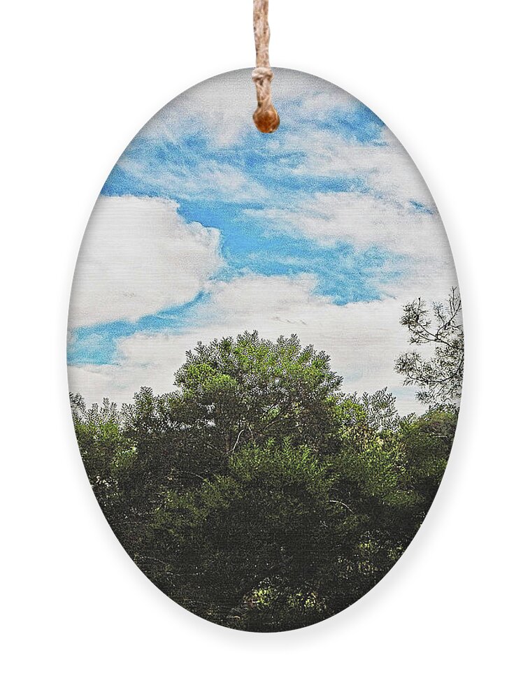Trees Ornament featuring the photograph Good Morning View by Andrew Lawrence