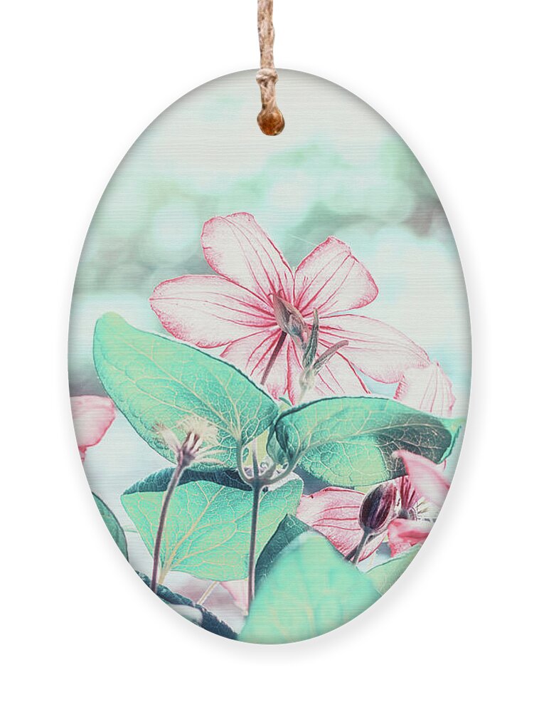 Flowers Ornament featuring the photograph Gossamer Coral by Marianne Campolongo