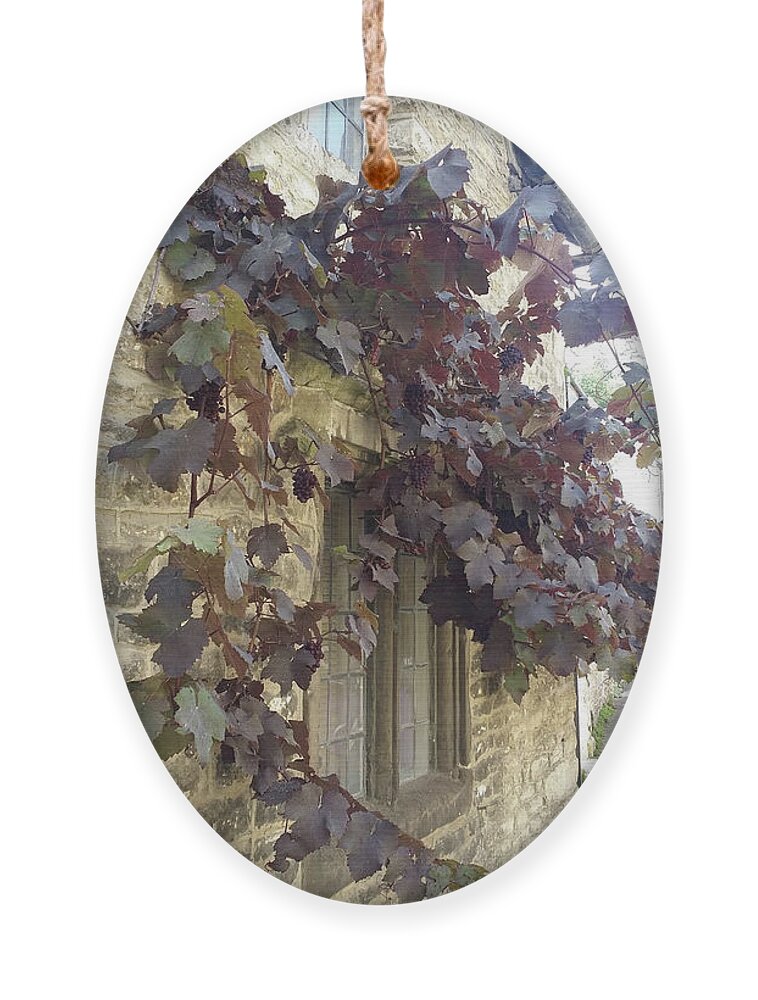 Grapevines Ornament featuring the painting Grapes over the Window in Wiltshire by Roxy Rich