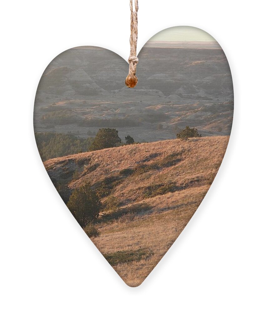 Bison Ornament featuring the photograph Grazing Bison in The Morning Light by Amanda R Wright
