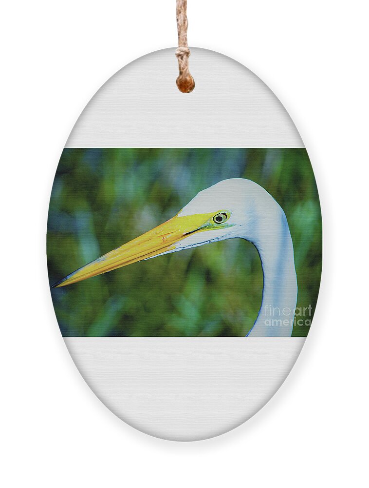 Great White Egret Ornament featuring the photograph Great white egret profile in arctic blues by Joanne Carey