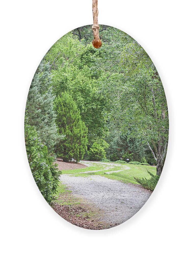 Trees Ornament featuring the photograph Green And Greener Path by Ed Williams