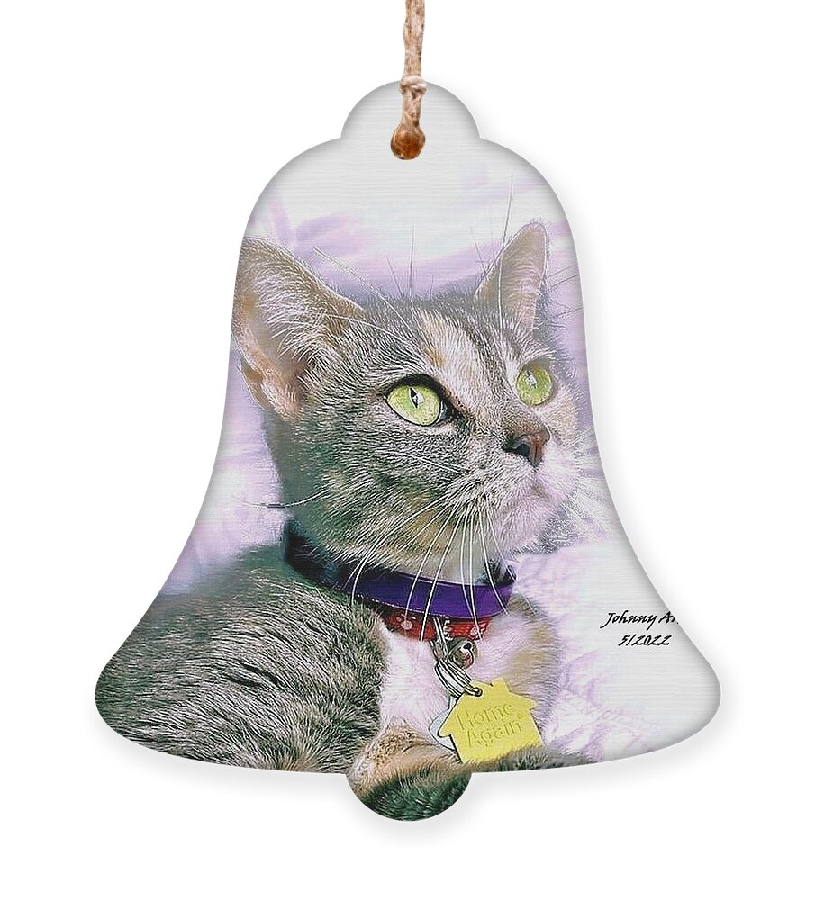 Cats Ornament featuring the photograph Green Eyes by John Anderson