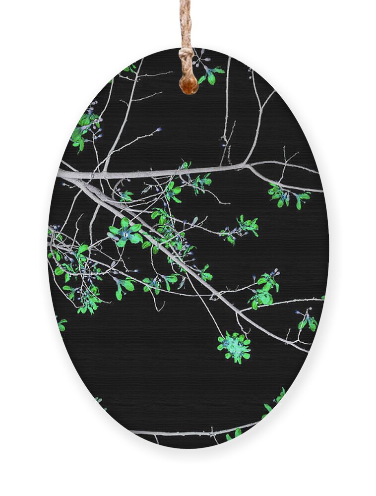 Tree Ornament featuring the photograph Green Flowers on Black by Missy Joy