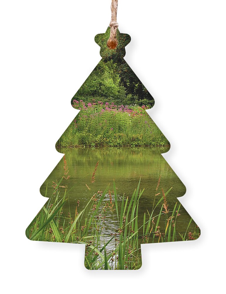 Hamburg Ornament featuring the photograph Green Oasis by Yvonne Johnstone