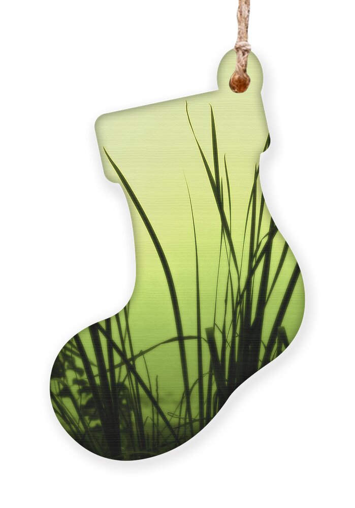 Reeds Ornament featuring the photograph Green Soft Edges of morning by Cynthia Dickinson