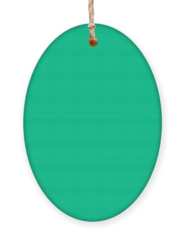 Green Ornament featuring the digital art Green Solid Color match for Love and Peace Design by Delynn Addams