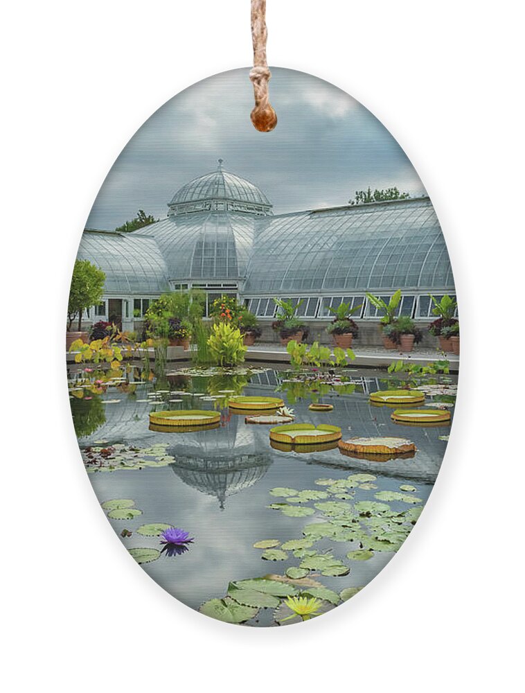 Lily Ornament featuring the photograph Grey Sky Lily and Lotus Pond by Cate Franklyn