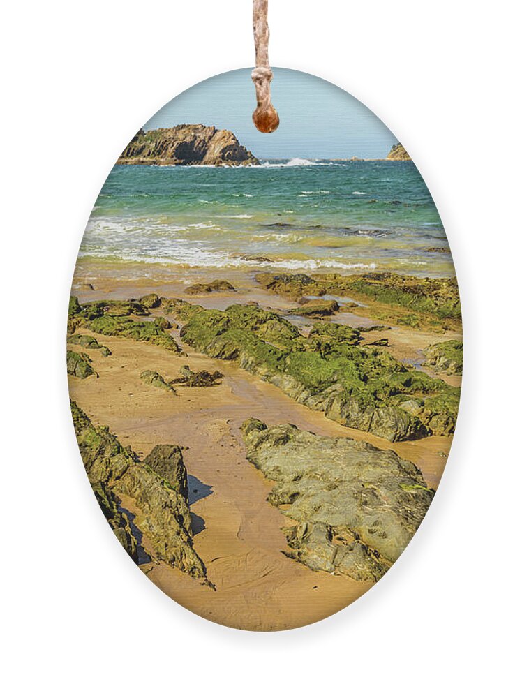 Landscape Ornament featuring the photograph Guerilla Bay Beach by Werner Padarin
