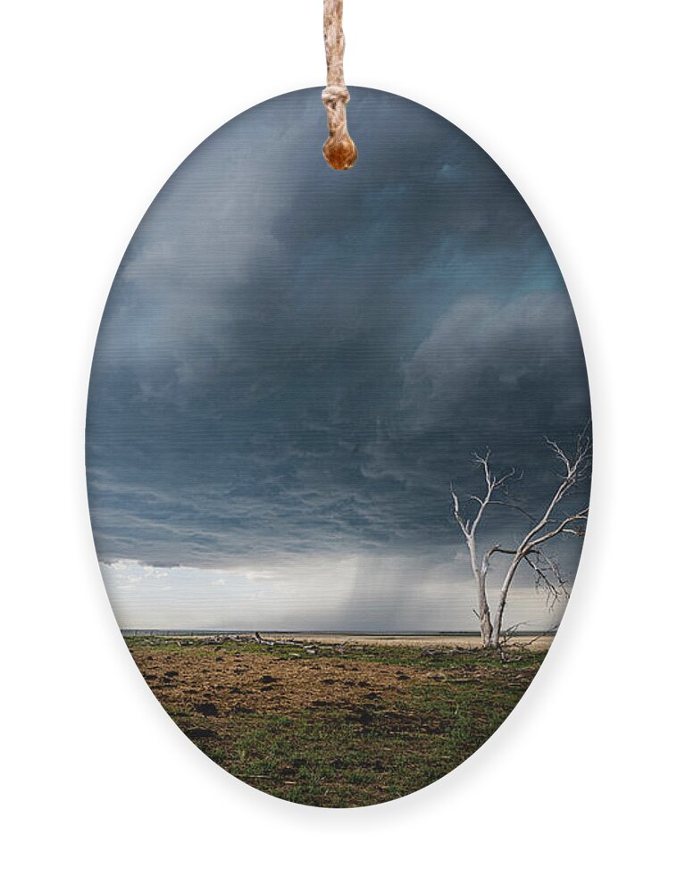 Thunderstorm Ornament featuring the photograph Hail on the Horizon by Marcus Hustedde